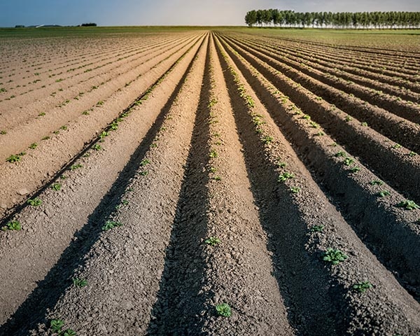 Over onze bodem, slimme boeren en duurzaamheid 