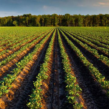 Land- en tuinbouw